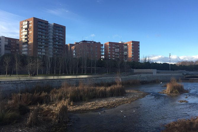 private-madrid-fullday-guided-tour-with-dlx-car