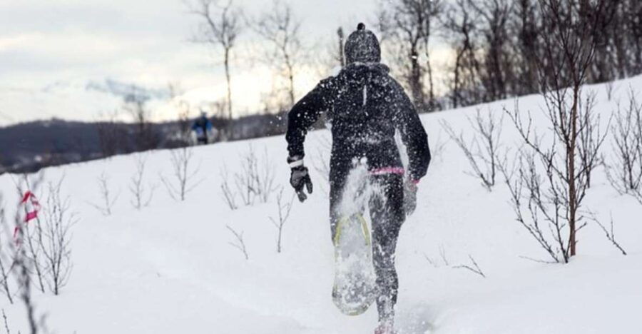 private-snowshoeing-full-day