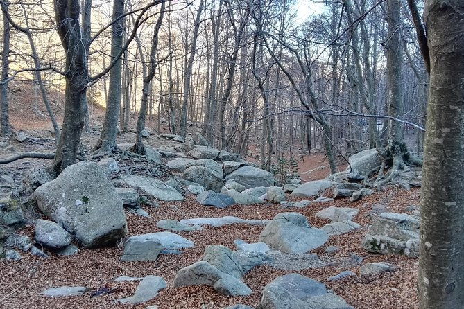 private-tour-montseny-hiking-from-barcelona