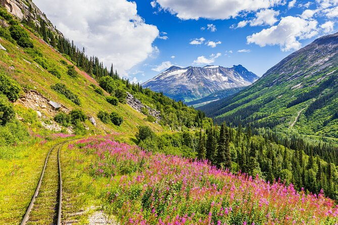 Private Tour Skagway City & Summit