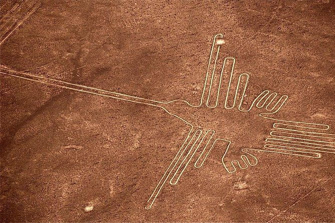 private-tour-to-ballestas-nazca