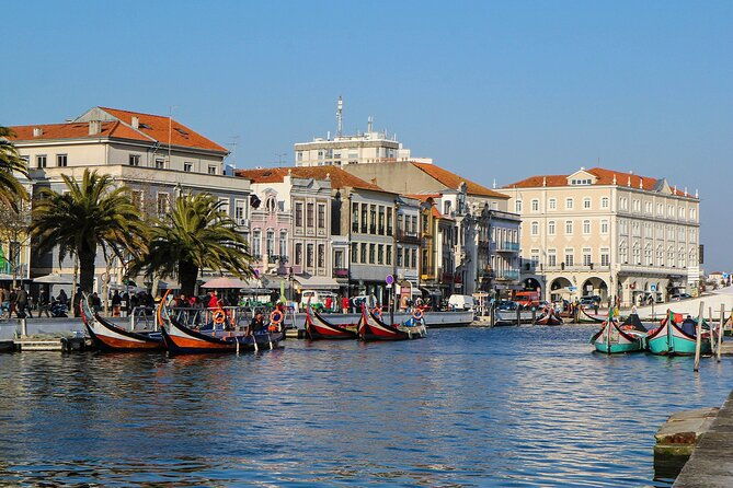 private-tour-to-porto-from-lisbon-with-up-to-3-city-stops