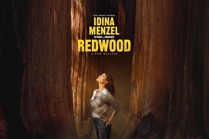 redwood-starring-idina-menzel-on-broadway-ticket