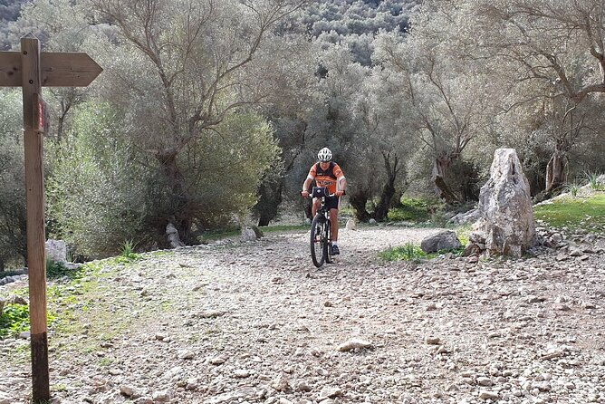 rental-mtb-hardtail-sram-conor-wrc-29