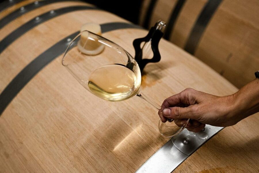 ribera-del-duero-experience-vineyard-and-4x4-mountain-aperitif-and-tasting