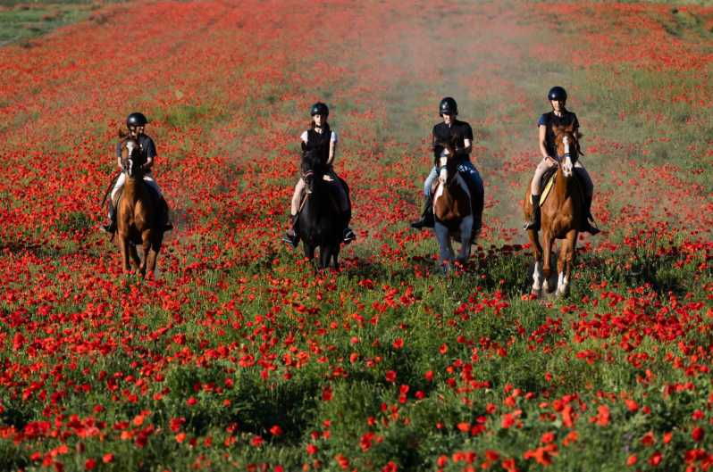 ride-in-rome-with-meal-and-wine-included