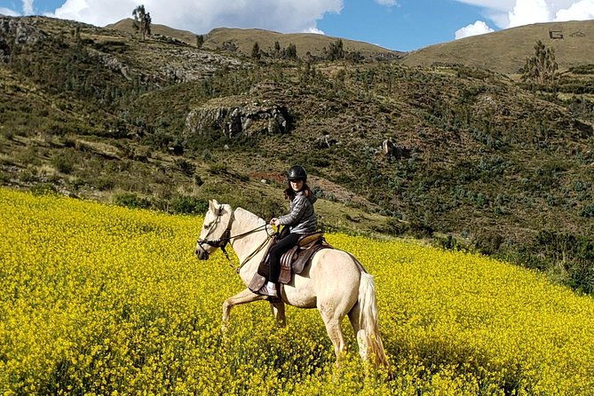 ride-peruvian-paso-horses-in-cusco
