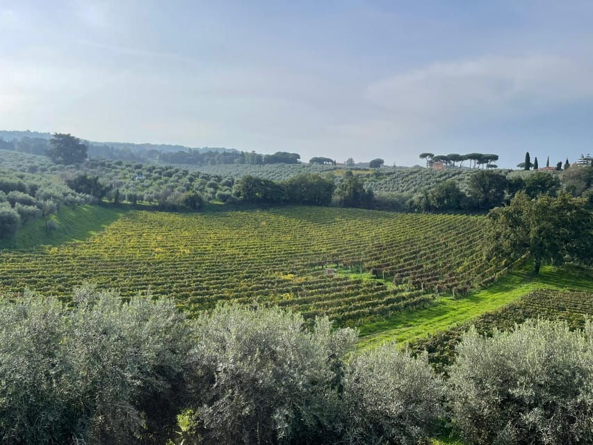 rome-countryside-wine-tasting-tour-with-private-driver