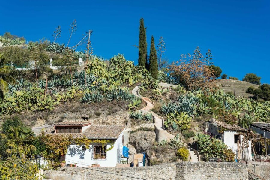 sacromonte-caves-museum-admission-ticket