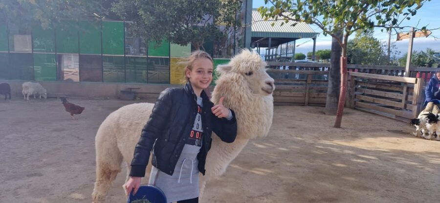 salou-cambrils-or-pineda-animal-farm-roundtrip-transfer