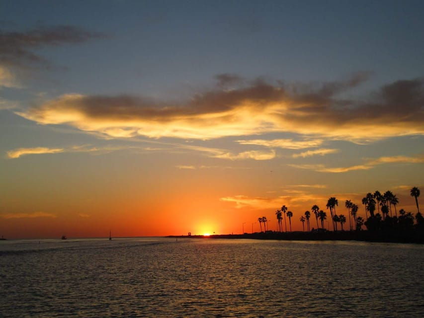 San Diego: Dolphin and Whale-Watching Sunset Cruise
