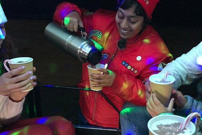 san-francisco-private-small-group-holiday-lights-tour