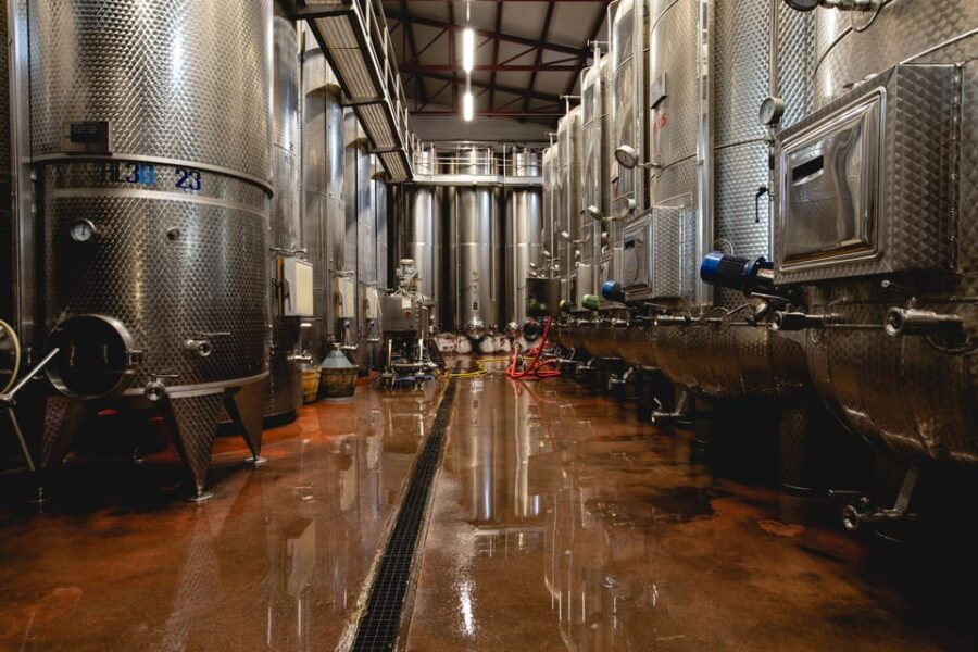 santa-maria-della-versa-grape-harvest-wine-tasting-tour