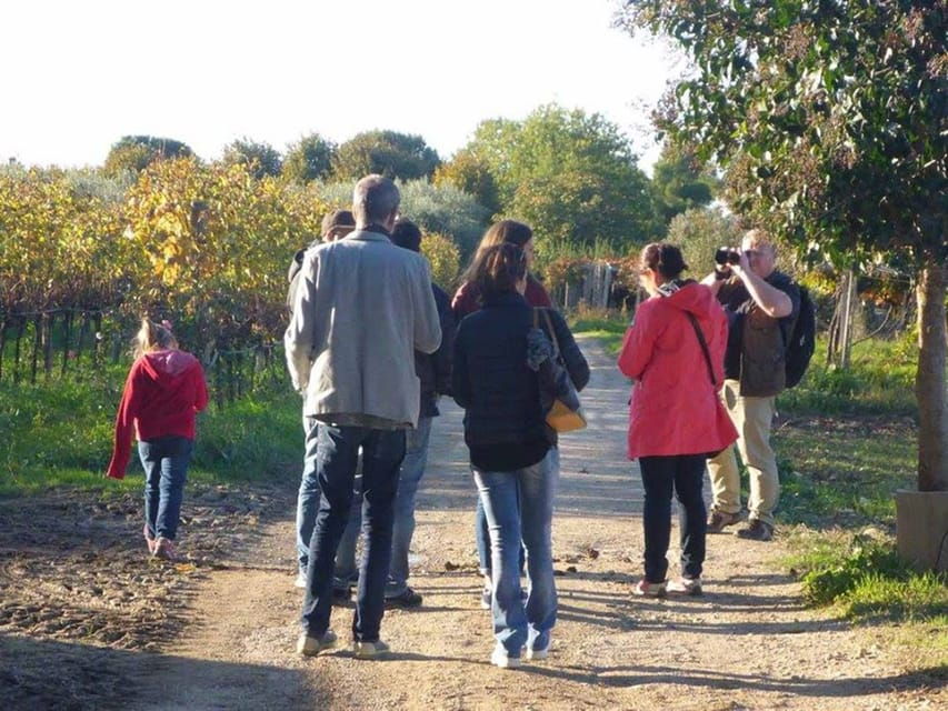 santa-maria-imbaro-the-vinarte-wine-tour