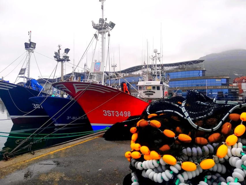 santona-anchovy-art-gallery-with-fishing-port-and-market