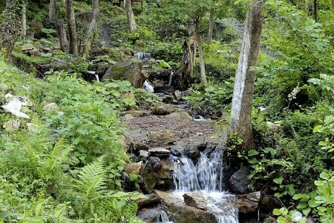 sapanca-and-masukiye-from-istanbul-with-lunch-and-hotel-pickup