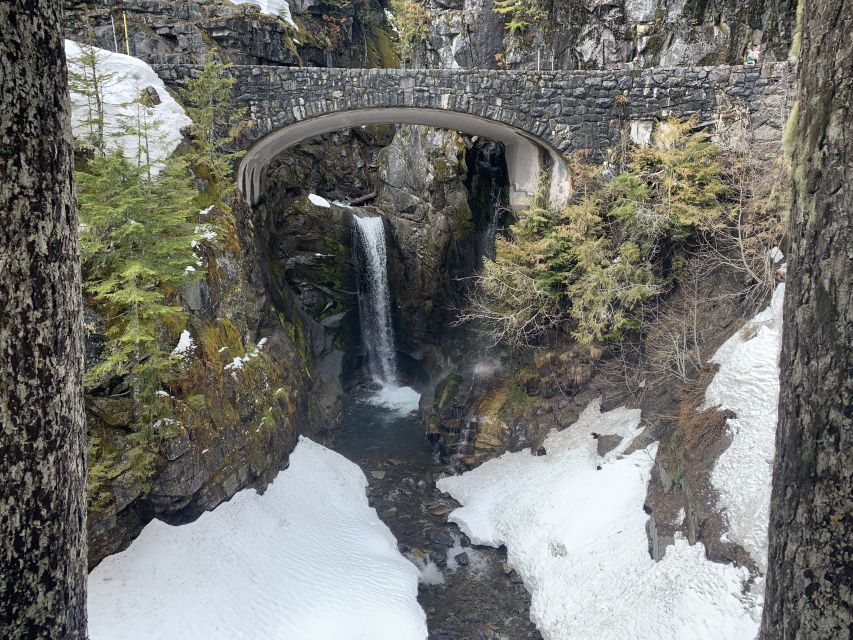 Seattle: Mt. Rainier Hiking W/ Waterfalls, Glaciers & Trees