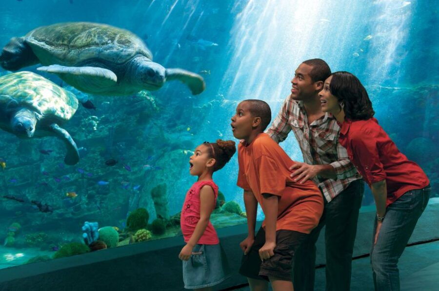 seaworld-orlando-park-admission-ticket