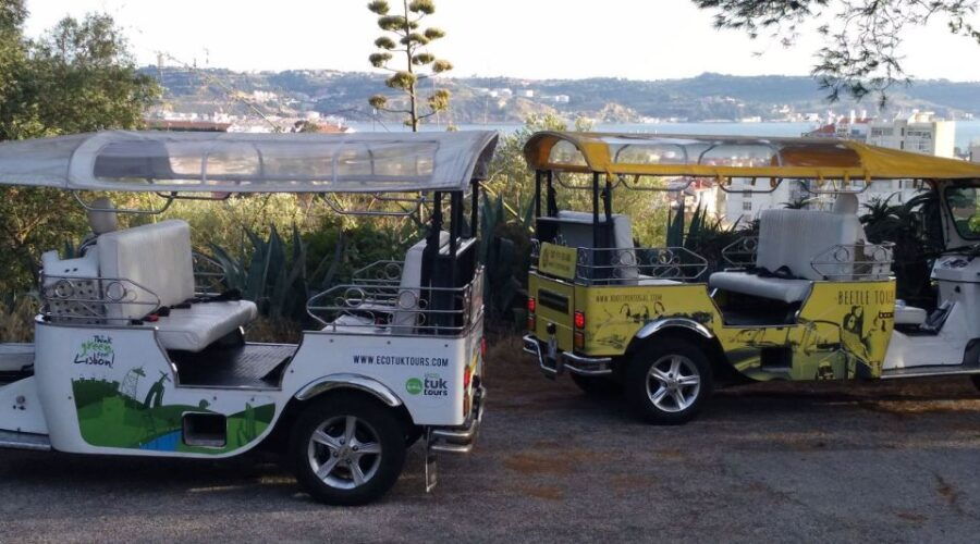 shore-excursion-half-day-tuk-tour