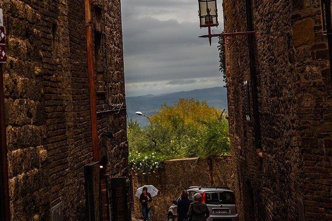 siena-san-gimignano-private-day-tour-from-tuscany