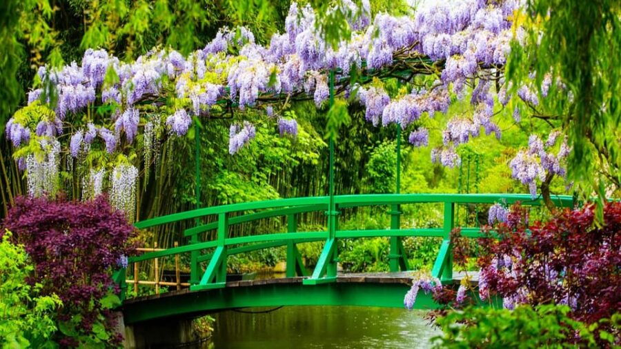 skip-the-line-private-morning-visit-claude-monets-garden