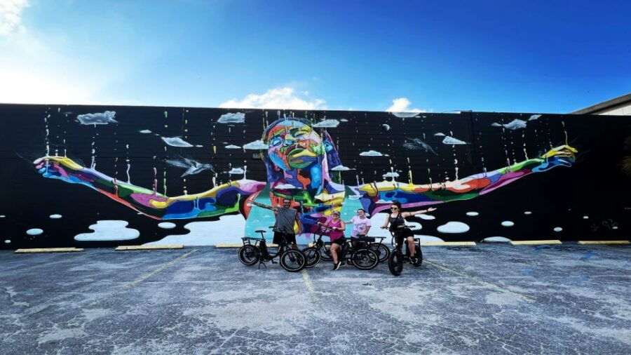 St. Petersburg, FL: Sightseeing & Murals Electric Bike Tour