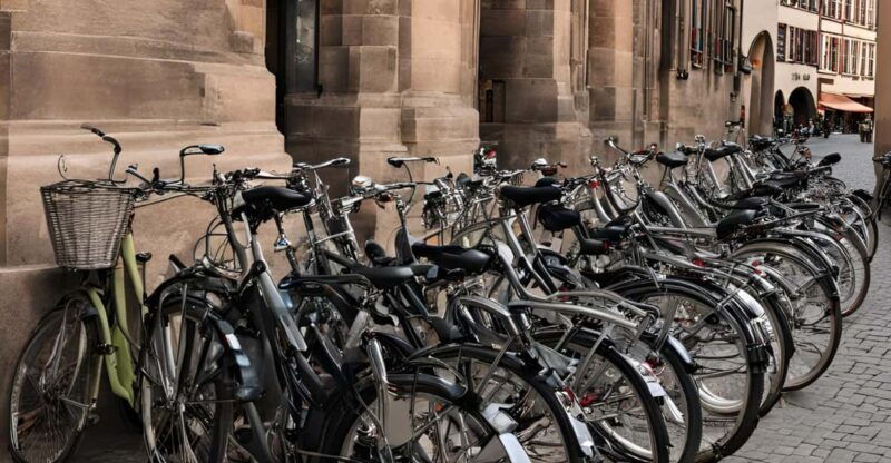 strasbourg-bike-rental-for-1-day