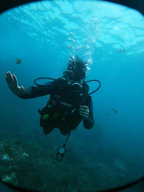 tenerife-2-guided-dives-for-certified-divers-half-day