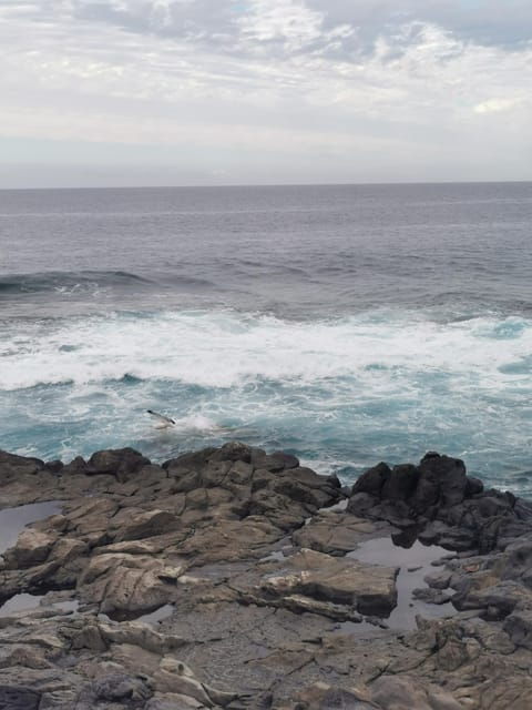 tenerife-island-the-best-day-tour-for-cruise-passengers