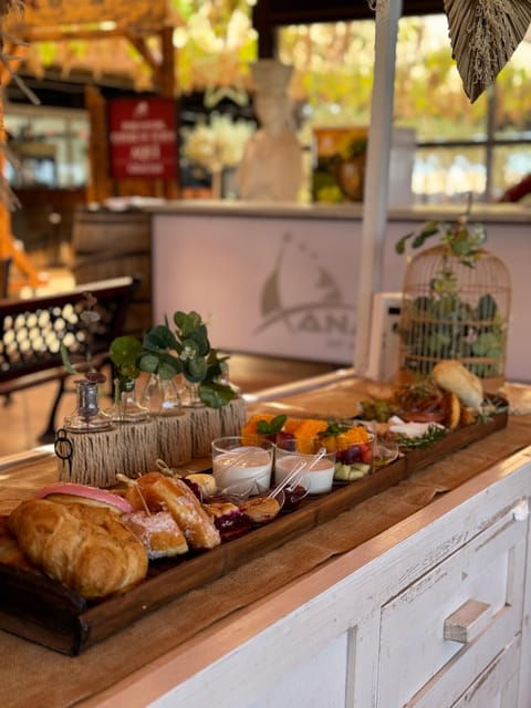 tenerife-south-private-horseback-riding-to-the-coast-brunch