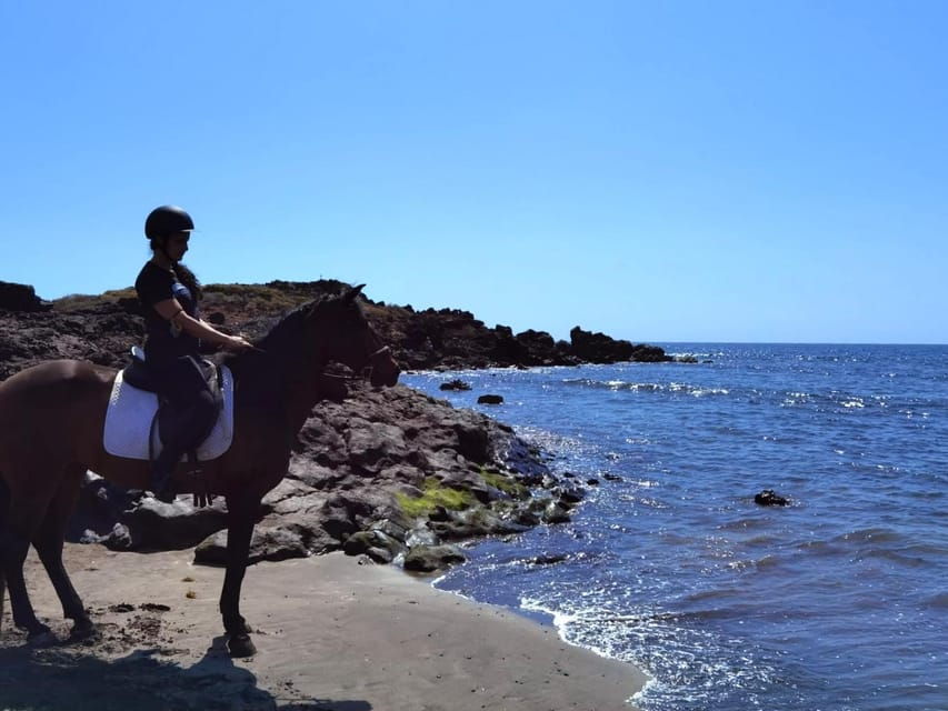 tenerife-south-private-horseback-riding-to-the-coast