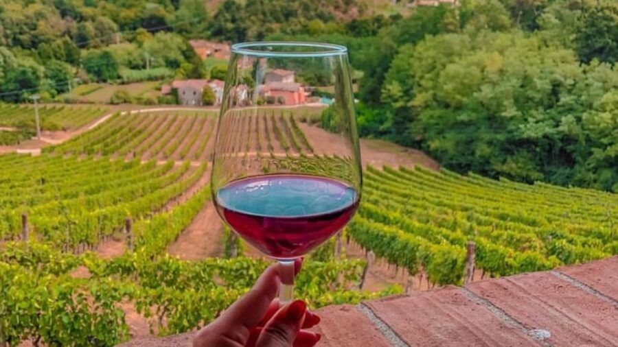 tenuta-adamo-private-wine-tour-and-tasting-with-antonio