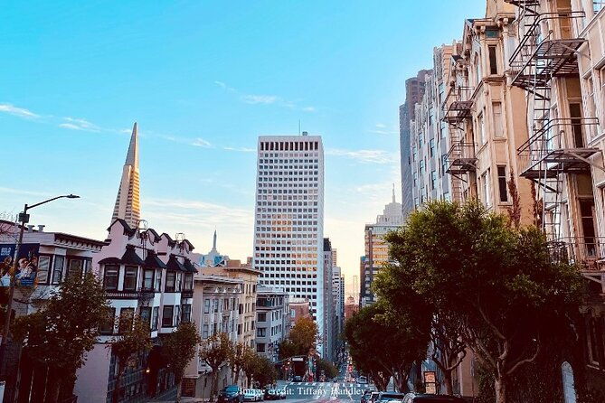 the-best-of-san-francisco-private-half-day-walking-tour
