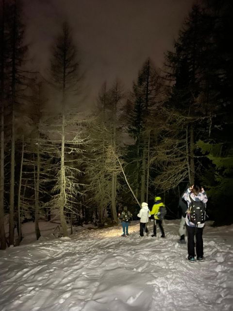 the-dolomites-at-night-with-snowshoes