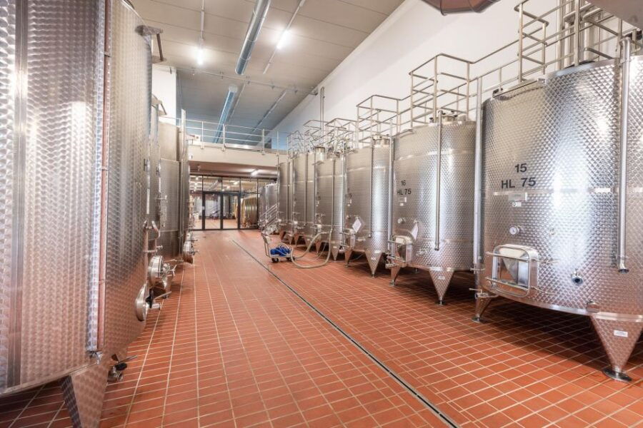 the-dosman-winetasting-in-la-morra