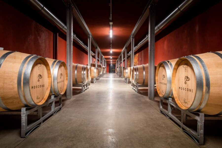 the-madama-wine-tasting-in-la-morra