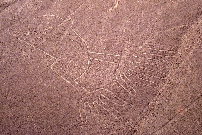 the-nazca-lines-flight-tour-huacachina-oasis-private-trip
