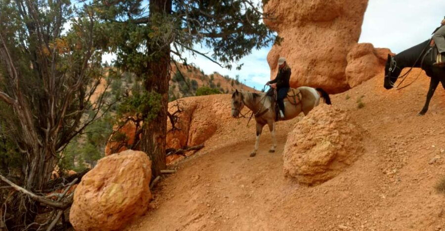 thunder-mountain-trail-scenic-horseback-ride