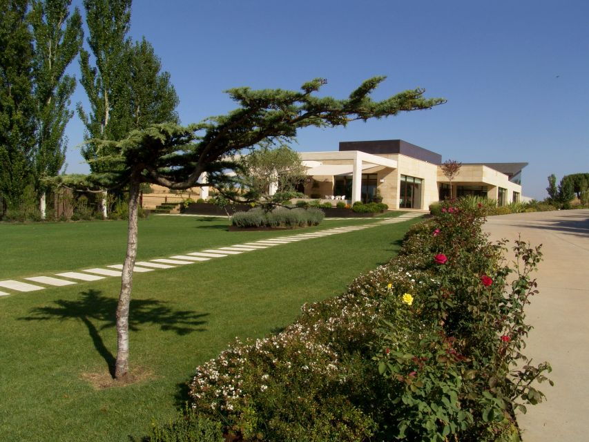 toro-piedra-winery-tour-and-tastings