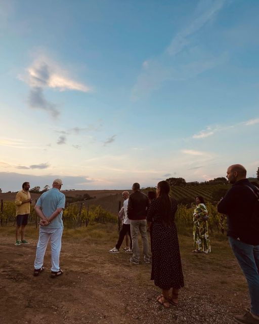 toscana-guided-tour-wine-tasting-and-local-syrian-bites