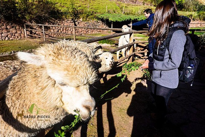 tour-to-sacred-valley-tour-pisaq-ollantaytambo-and-chinchero