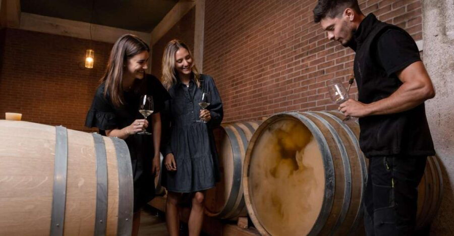 tramin-termeno-winery-tour-wine-tasting-j-hofstatter