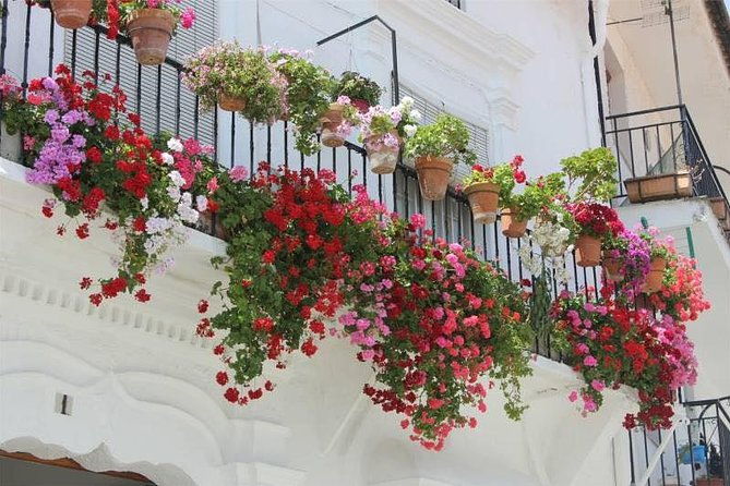 transfer-to-malaga-from-seville