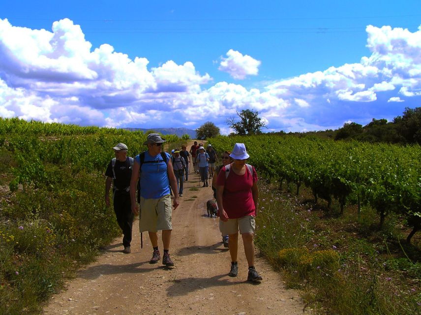 trek-wine-in-priorat