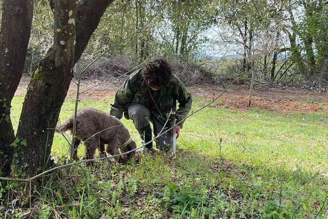 truffle-hunting-experience-with-lunch-and-chianti-wine-tasting