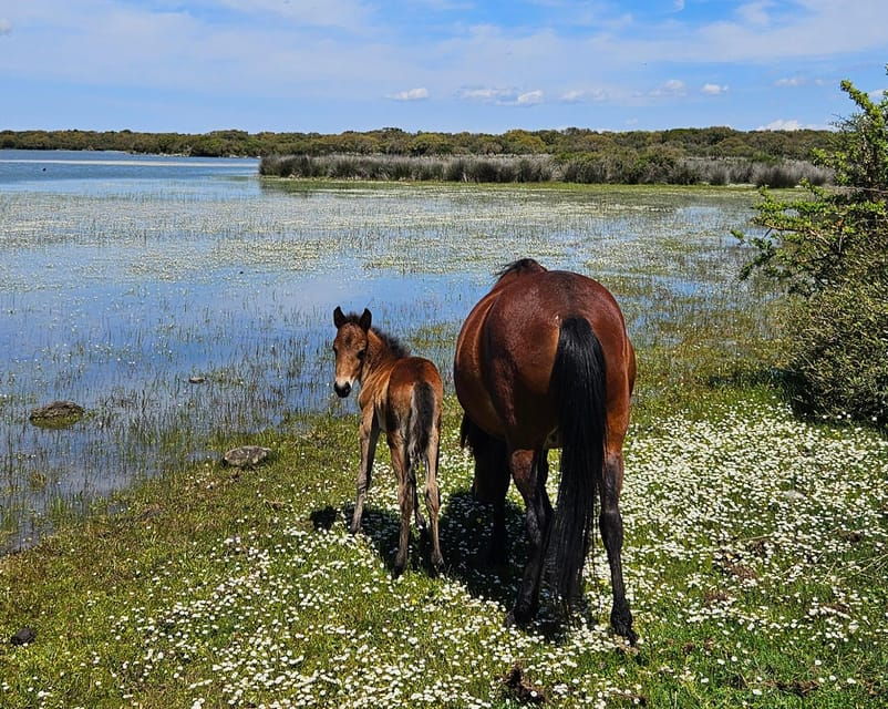 tuili-wild-giara-tour