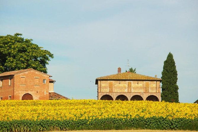 tuscany-from-rome-montepulciano-pienza-with-wine-tasting-and-lunch-included