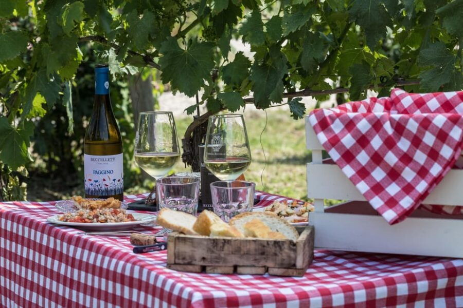 tuscany-white-wine-tasting-with-aperitivo-at-a-local-winery