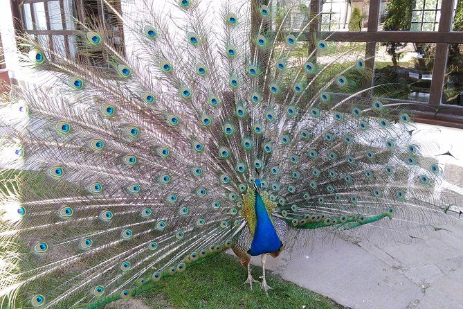 unlock-six-starosel-treasures-a-delicious-tasting-experience