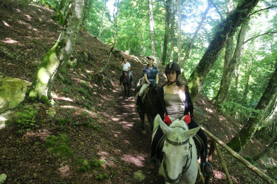 valdichiana-horseback-riding-tour-with-tuscan-picnic